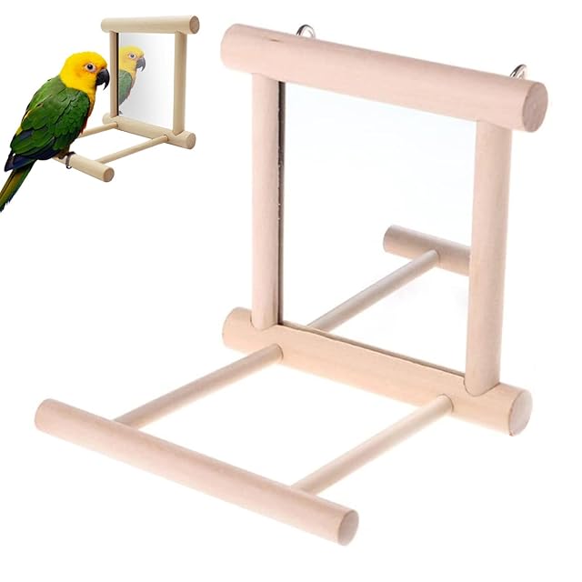 Espejo para Pájaros y Mascotas, Aterrizaje Perchas, Madera de Loro