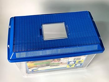 飼育ケ-ス 楽天市場】プラケース 飼育容器 特大M 黒（330×270