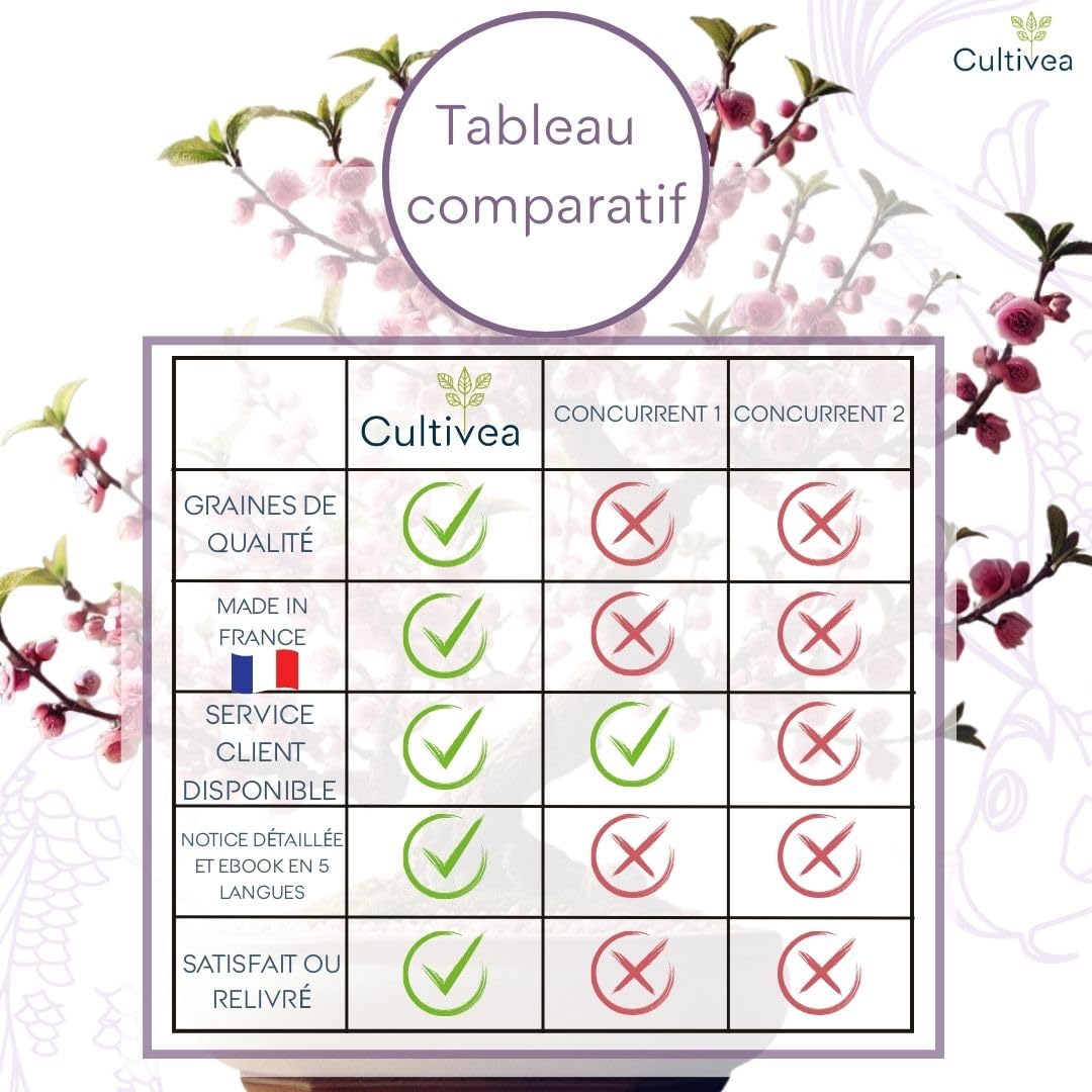 CULTIVEA® Kit First Bonsai - Kit de première culture de Bonsaï - Prêt à Pousser avec Graines & Accessoires - Made In France (Cercis Chinensis)