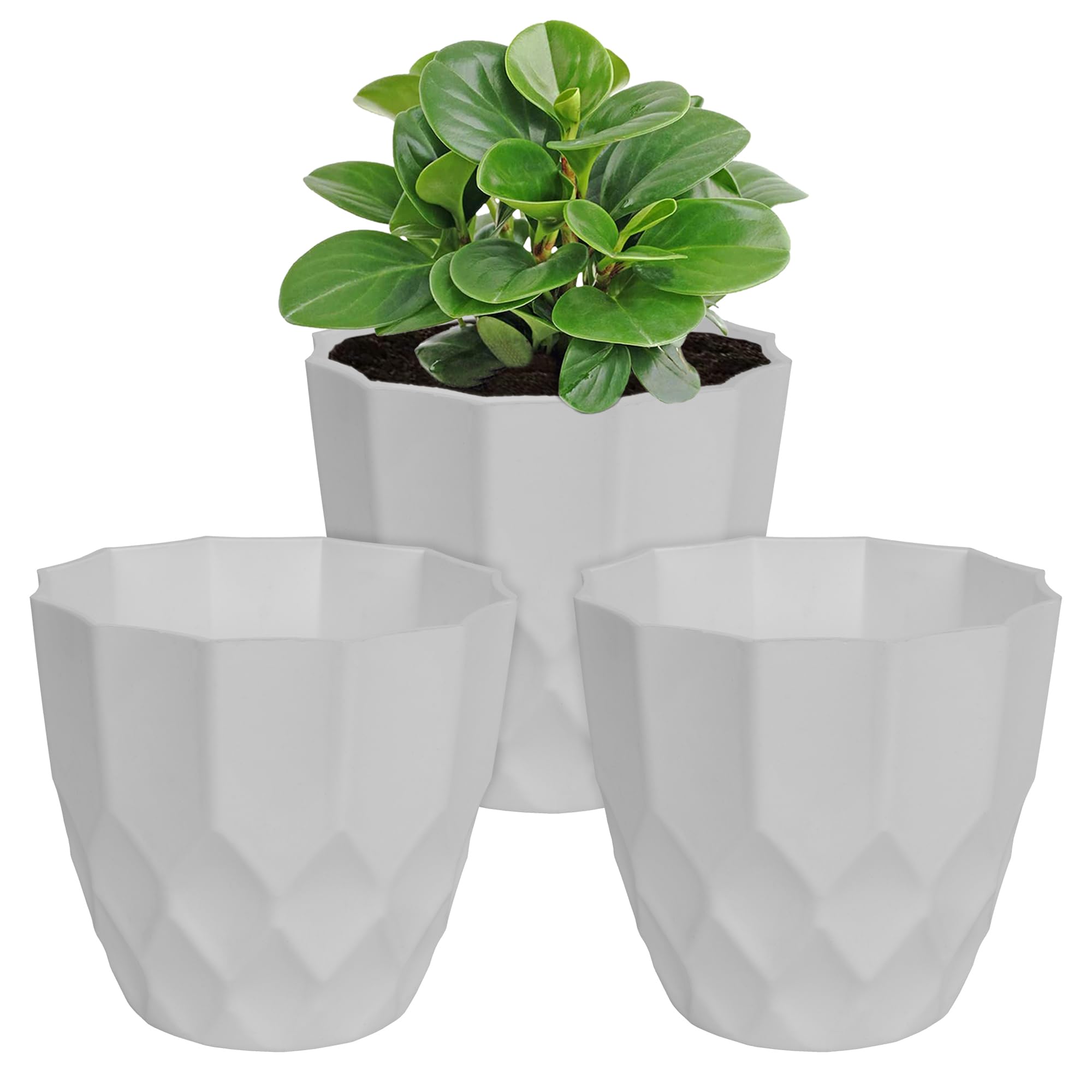 See full amazon price history chart for Kuber Industries Flower Pot | Flower Planter Pots for Indoor & Outdoor | Pot for Garden & Balcony Flowering | Barfi Flower Pot | 6 Inch | Pack of 3 | White Kuber Industries Flower Pot | Flower Planter Pots for Indoor & Outdoor | Pot for Garden & Balcony Flowering | Barfi Flower Pot | 6 Inch | Pack of 3 | White (B0CW61Q1ZK) Amazon Price History, Amazon Price Tracker