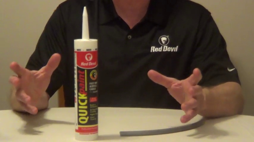 Red Devil 0946 Pintura Rápida Acrílica Blanca 300ml miniatura 5