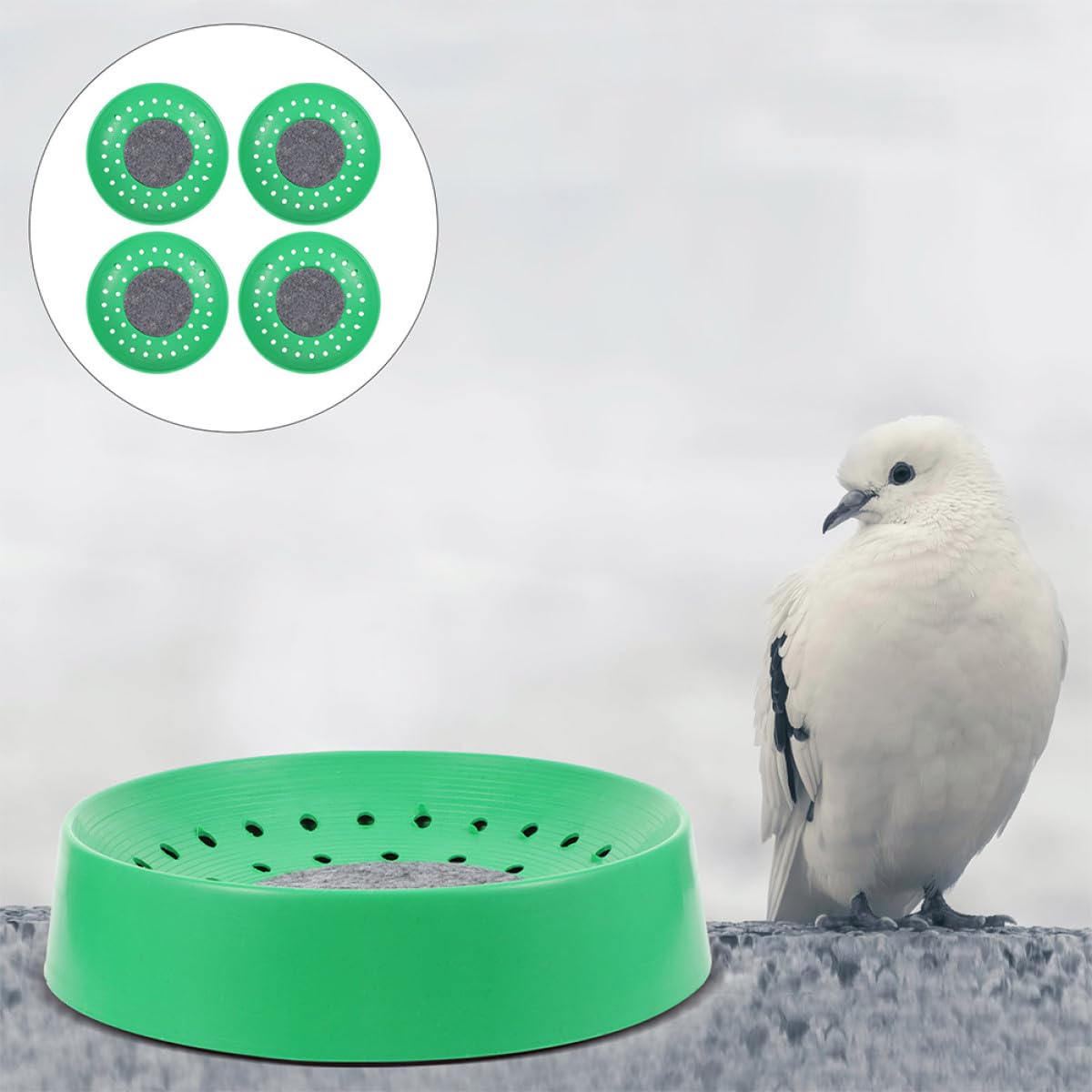 Homoyoyo 10 Nidi per Piccioni in Plastica Resistente per Riproduzione e Deposizione Uova Accessori per Gabbie di Uccelli Adatti ad Allevamenti Zoo e Abitazioni Private