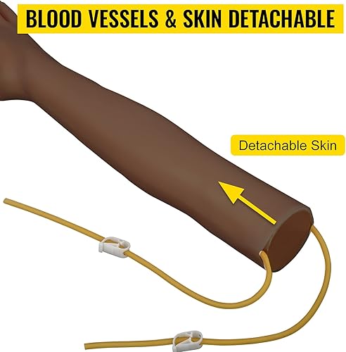 Miniatura 4 de VEVOR Kit de práctica IV Kit de práctica de flebotomía con piel oscura, kit de práctica de venipuntura, kit de aprendizaje de habilidades