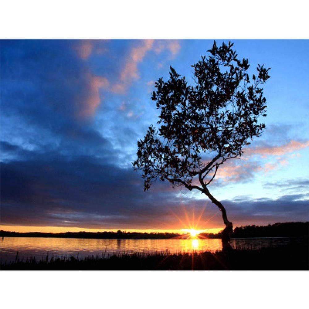 Kit diamond painting 5D paysage pour décorer votre salon avec un tableau relief