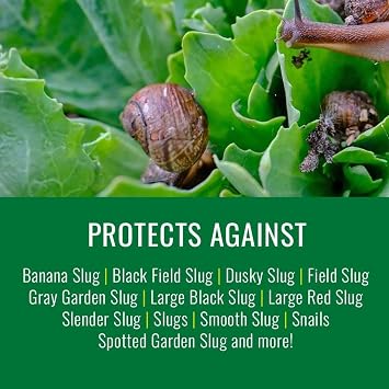 Natria Slug and Snail Killer, Baits and Kills Snails and Slugs, 1.5 Pounds, Ready-to-Use Granules