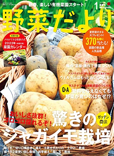 野菜だより2023年1月号 [雑誌]