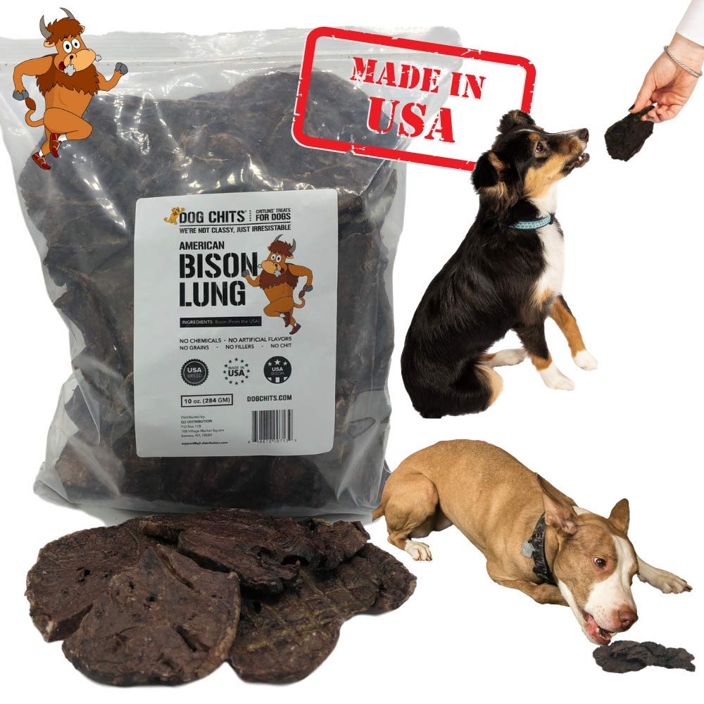 buy dogs online usa