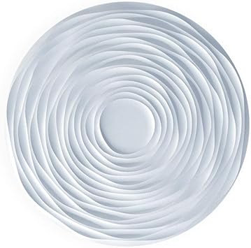 A La Maison Ceilings Rozap Pw Rose Diy Glue Up Foam Ceiling Medallion White Amazon Com