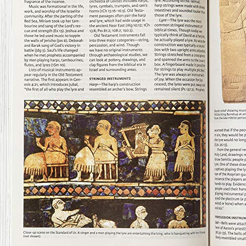 Holman Bibles 9781535997928 Csb Holy Land Illustrated Bible thumb #3