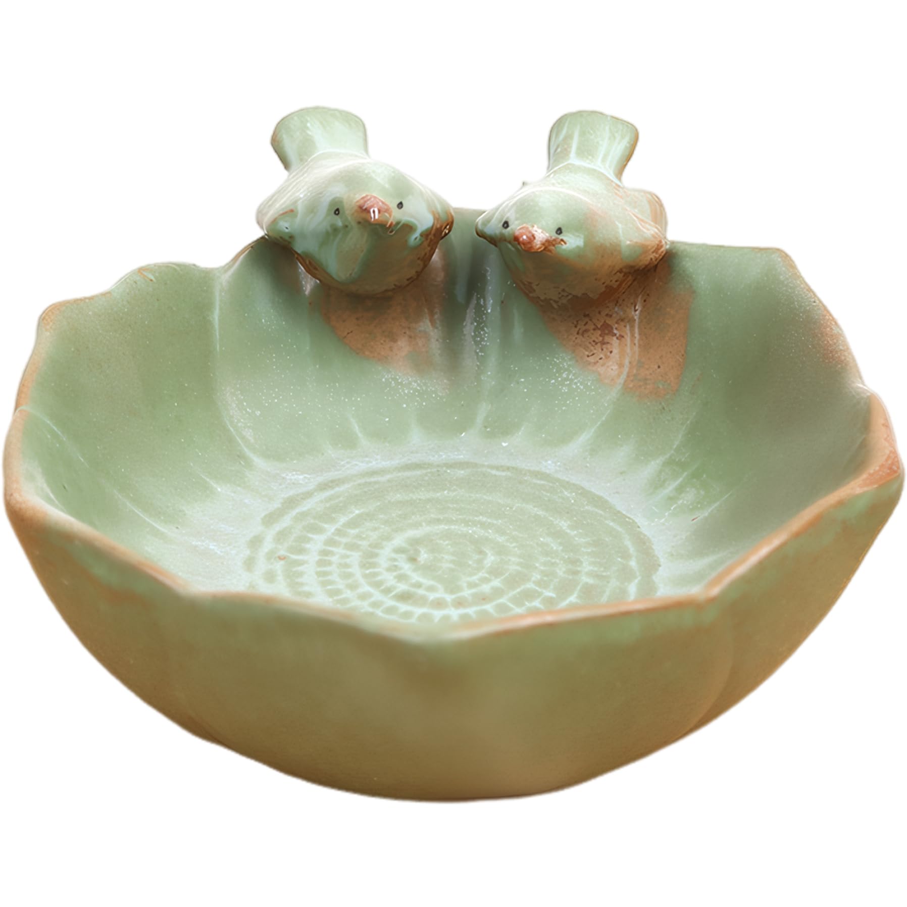 Pot de plantes succulentes original à offrir pour une crémaillère