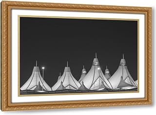 ArtDirect Denver International Airport-Denver-Colorado 18x13 Gold Ornate Wood Framed with Double Matting Museum Art Print by Highsmith, Carol