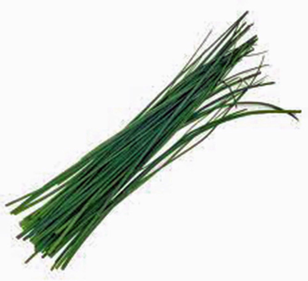 Chive Seeds, Herb, Heirloom, Non GMO, 25+ Seeds, Great Fresh or Dried Herb