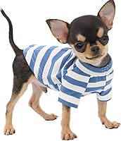 Vista 9 de LOPHIPETS Camiseta de perro 100% algodón para perros pequeños Taza de té Chihuahua Yorkie Ropa para cachorros - Azul/XXS