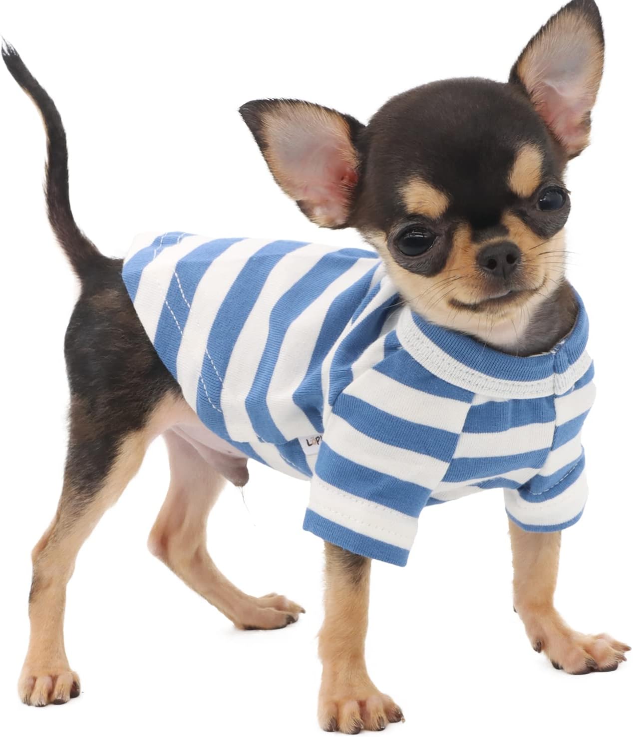 LOPHIPETSLOPHIPETS 100% Breathable Cotton Striped Dog Tee Shirt T-Shirt for Small Dogs Teacup Chihuahua Yorkie Puppy Clothes-Blue and White Strips/XXS