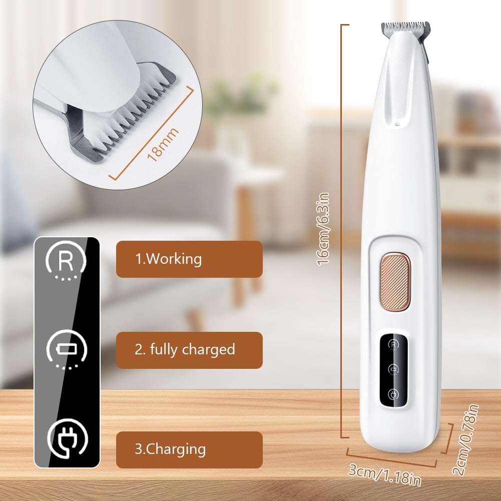 Tondeuse pour Pattes Chien Silencieuse, Tondeuse pour Chien et Chat, Lames Céramique et Inox, LED Intégrée, Rechargeable USB, Étanche, Toilettage Zones Sensibles pour Pattes, Yeux, Oreilles