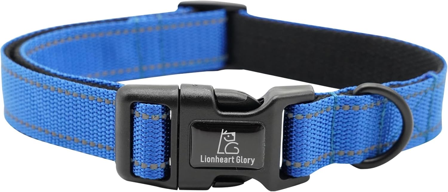 Lionheart glory Dog Collar Reflective Dog Collars Female