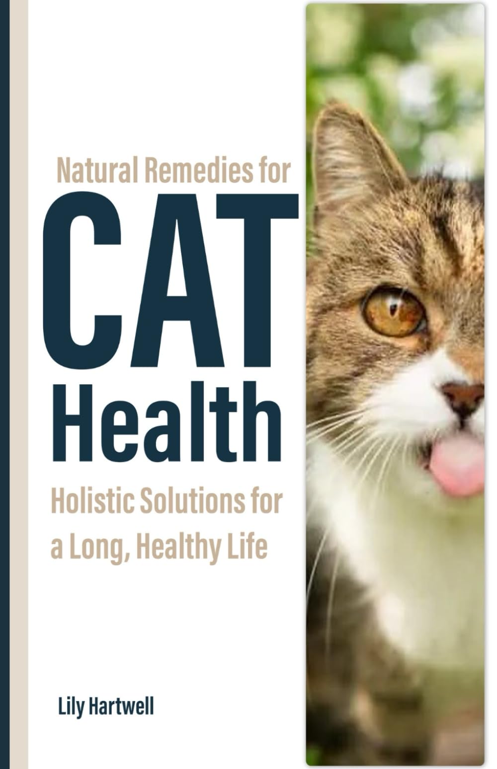 Natural Remedies for Cat Health: Holistic Solutions for a Long, Healthy Life