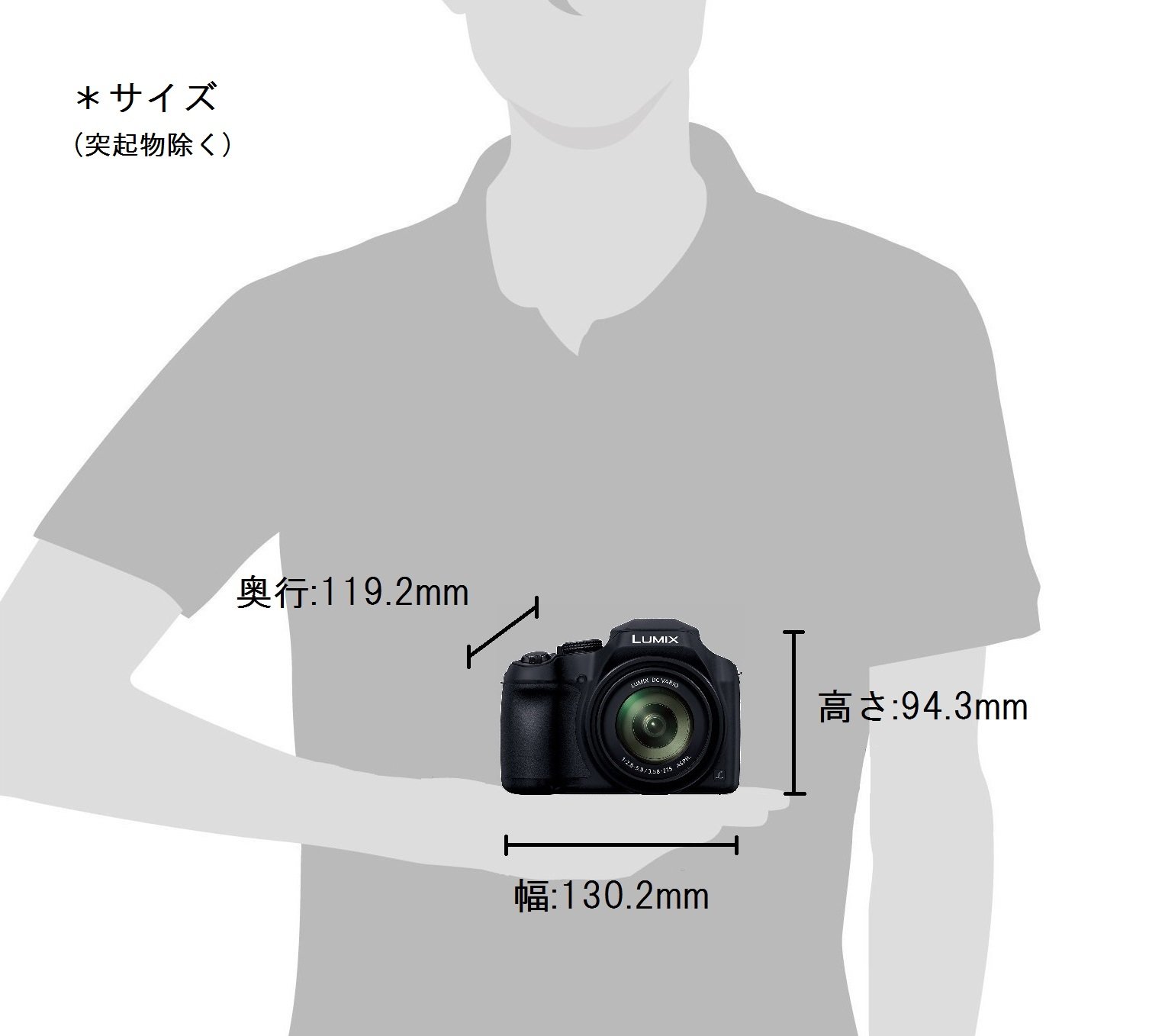 Amazon.com : Panasonic Digital Camera Lumix FZ85 Black DC-FZ85  