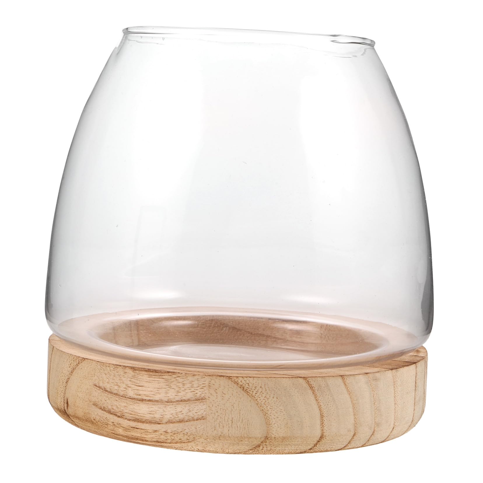 Amosfun Vase hydroponique Petit Vase de Terrarium récipients en Verre hydroponiques décor de de Plantes Station d'enracinement en Transparent