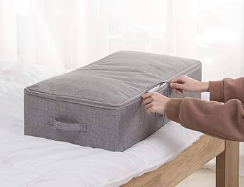 iwill CREATE PRO Set van 2 opvouwbare opbergdozen met deksel voor onder het bed, ruimtebesparende opbergdozen voor slaapkamer, kast, zolder, beige