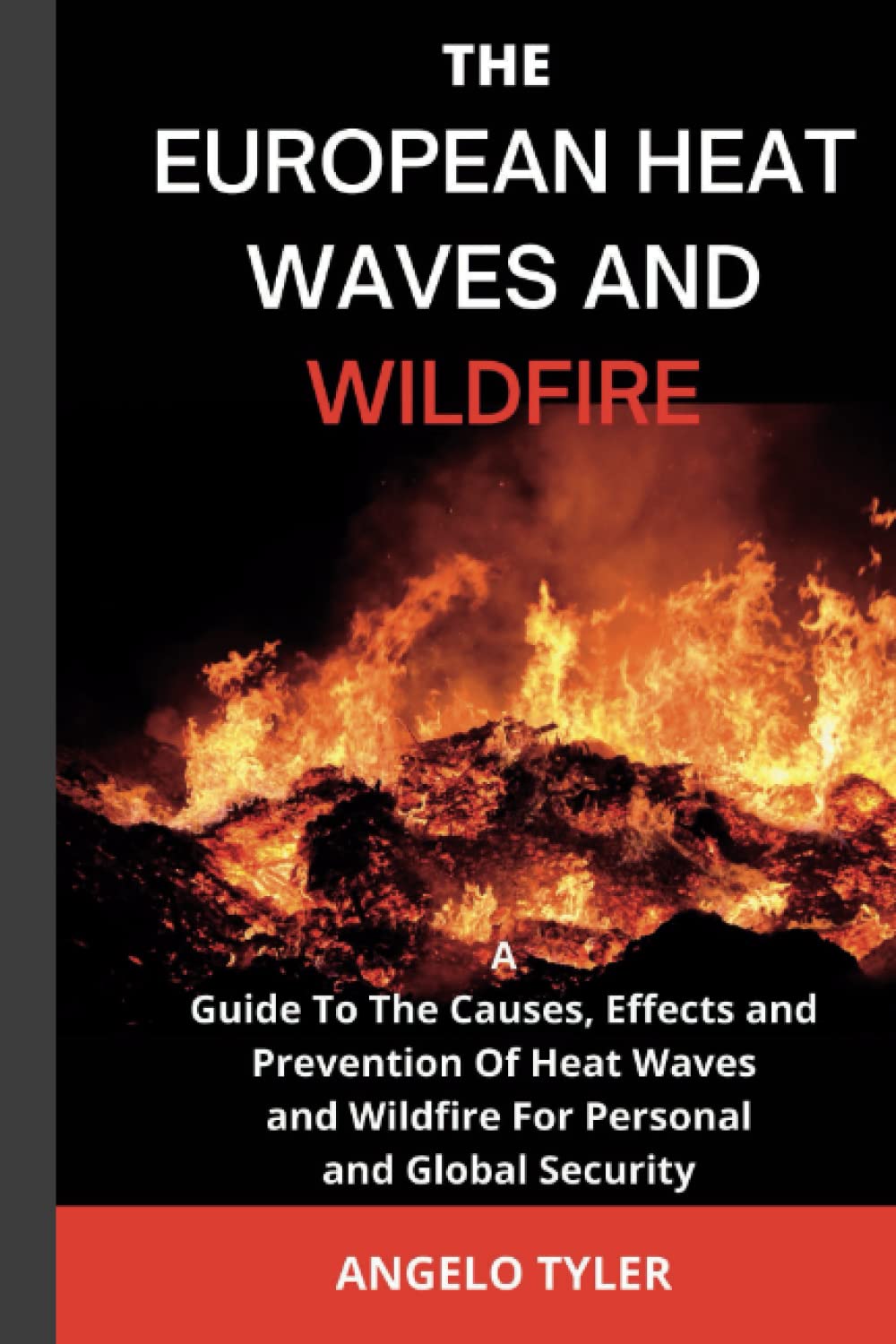THE EUROPEAN HEAT WAVES AND WILDFIRE: A GUIDE TO THE CAUSES, EFFECTS AND PREVENTION OF HEAT WAVES AND WILDFIRE FOR PERSONAL AND GLOBAL SECURITY