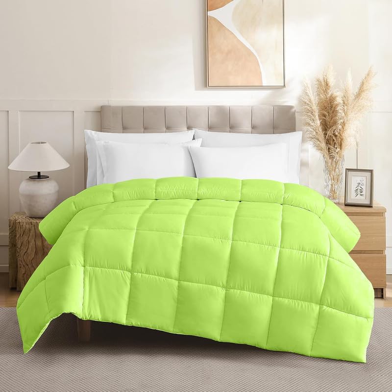 Comforter 100% Pima Cotton 600 TC, 400 GSM Premium Luxury All Season 1PC Comforter, Ultra Soft Breathable Quilted Bedding – Twin (64 x 86 Inches), Parrot Green