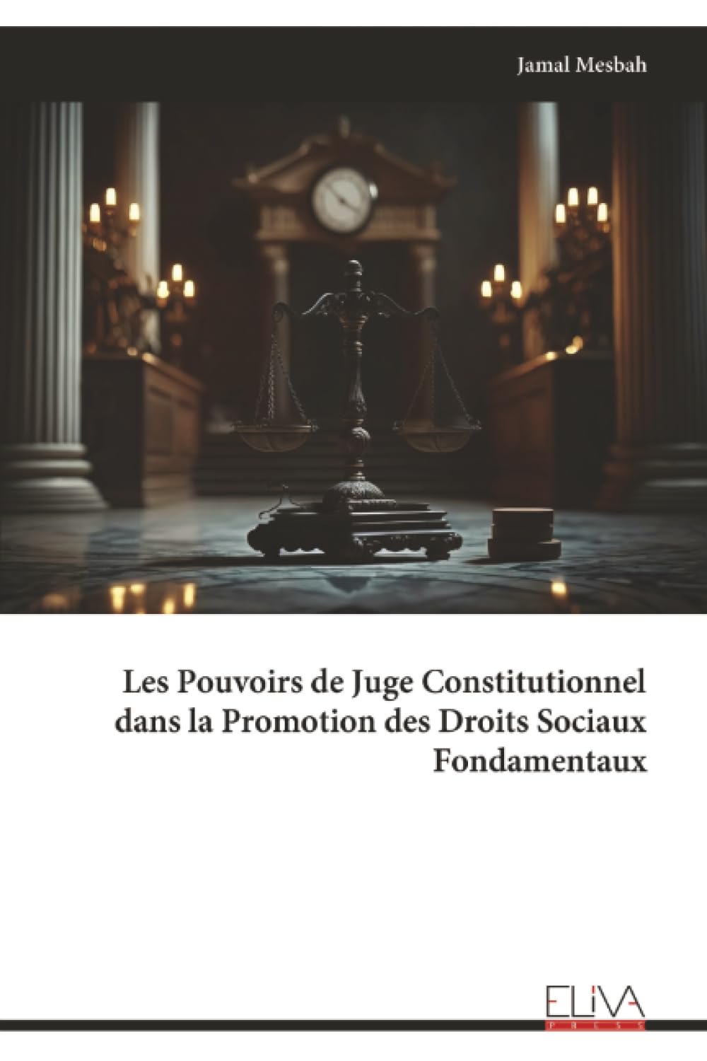 Les Pouvoirs de Juge Constitutionnel dans la Promotion des Droits Sociaux Fondamentaux