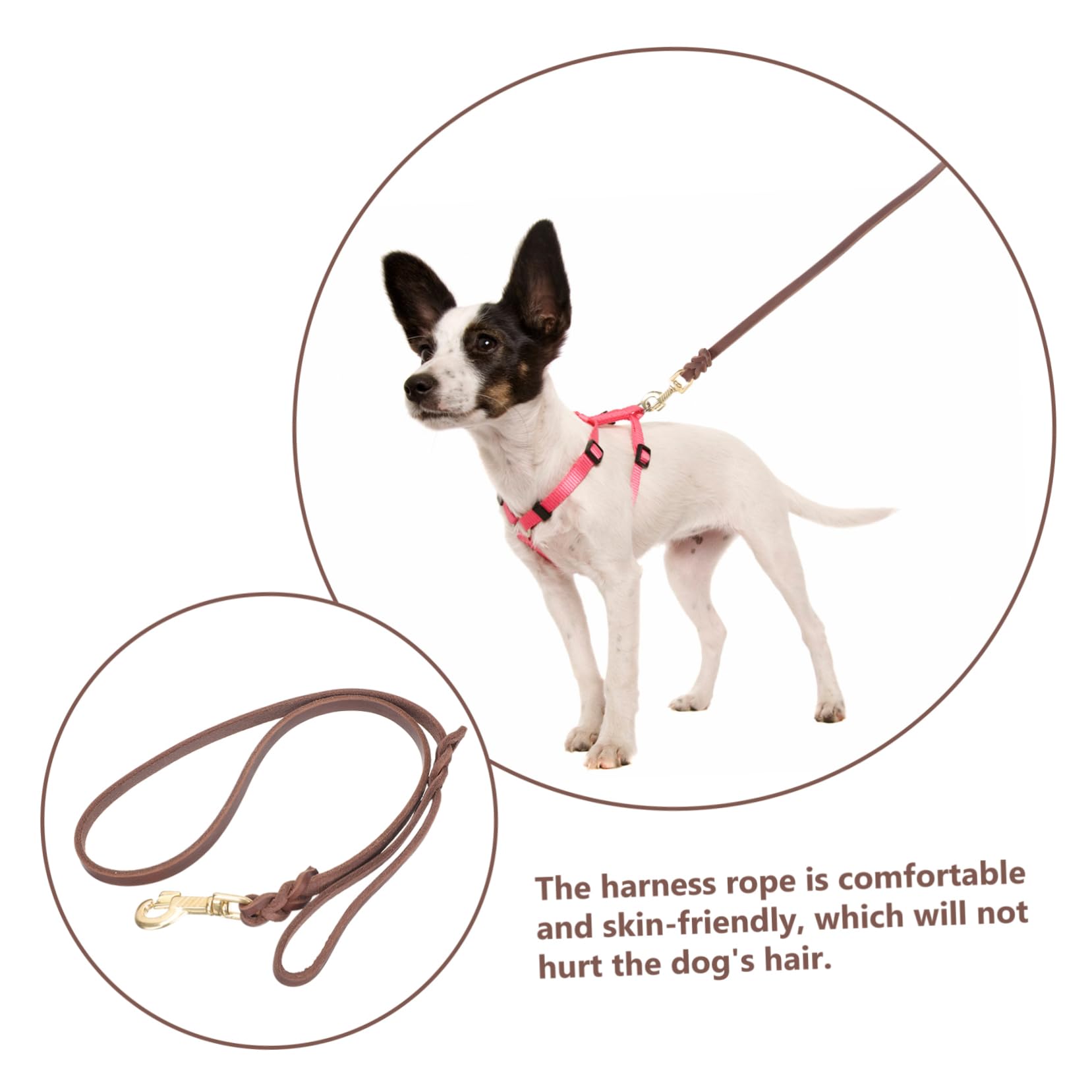 Kisangel 3pièces Laisse De Traction pour Chiens Corde pour Chiens De Moyenne à avec Idéale pour Promenades Sécurisées Et Confortables