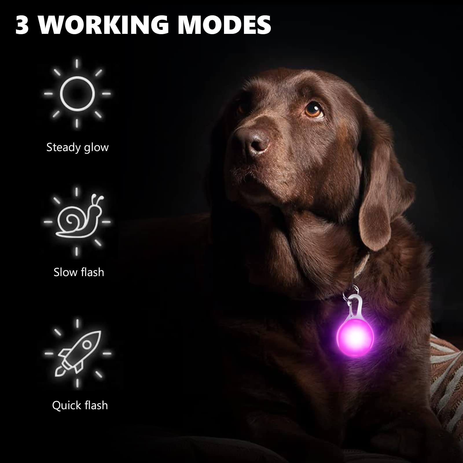 SerDa-Run LED Dog Collar Lights - 2 Pack, 3 Light Modes for Night Walking & Camping, Blue+pink - Image 2