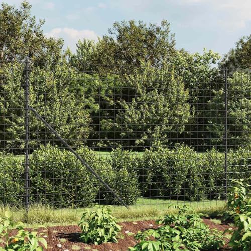 Homgoday Clôture en treillis métallique avec piquets d'ancrage - Anthracite - 1,4 x 25 m - Rouleau de grillage pour volaille - Clôture pour animaux de compagnie - Clôture de type 2