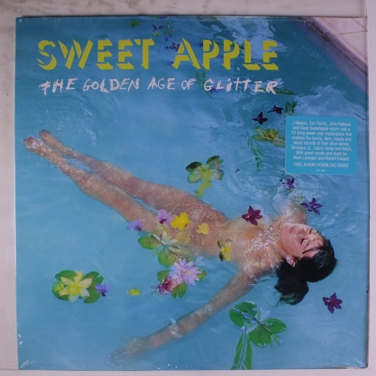 The Golden Age Of Glitter [VINYL]