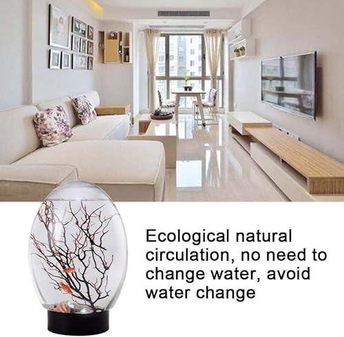 Miniatura 6 de Mini acuario, Ecosphere - Acuario de escritorio con ecosistema acuático cerrado con luz LED y base giratoria, sin necesidad de alimentar y cambiar