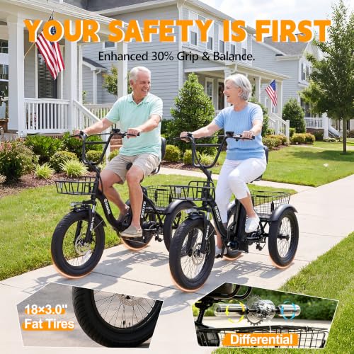 Ligood T300 Folding Electric Tricycle