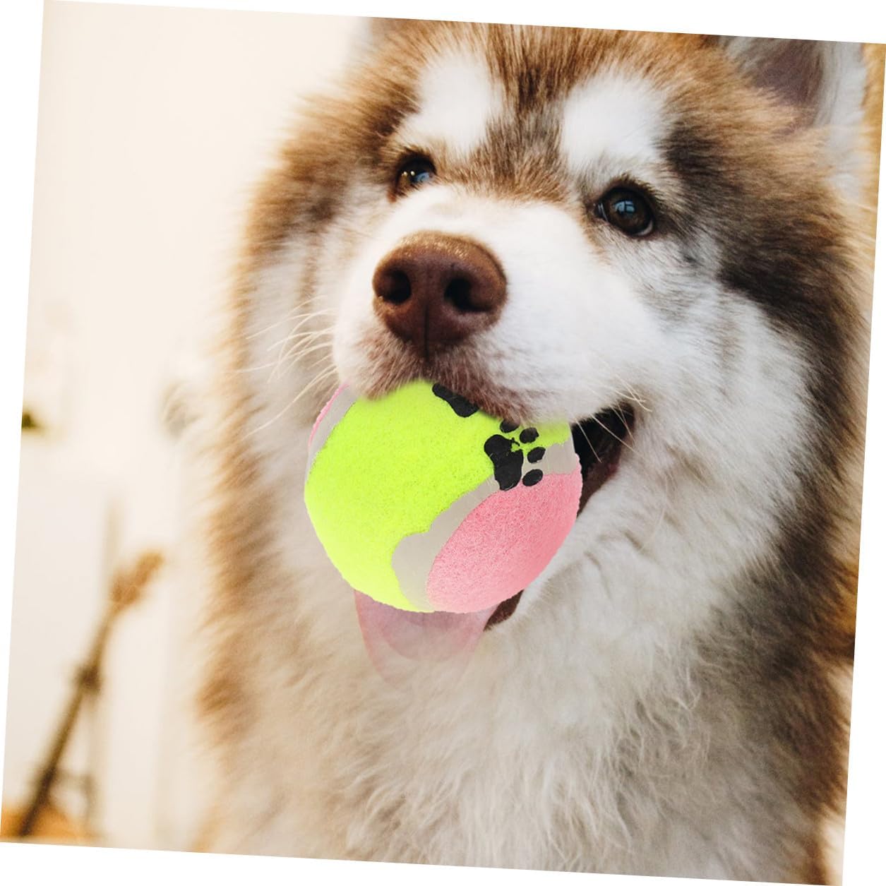 16pcs Dog Throwing Rubber Balls Plush Tennis Balls 7cm Diameter Interactive Outdoor Small Dog for Training and Enrichment Random Color