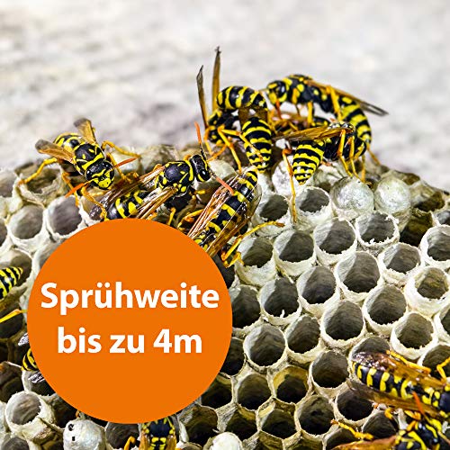 Wespenspray ARDAP 400ml Insektizid mit Sofort- und Langzeitwirkung