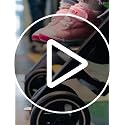 Image of gb Pockit+ All-Terrain, Ultra Compact Lightweight Baby pockit Travel Stroller for Babies & Toddlers, Carry-On Flight Luggage Compliant, Orange&Black