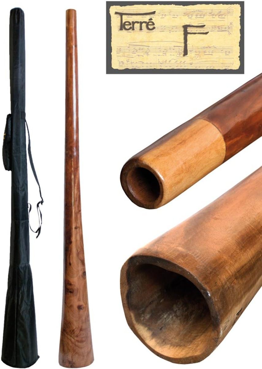 Amazon.com: Didgeridoo Sandwich 73 inch without bag (Tone D