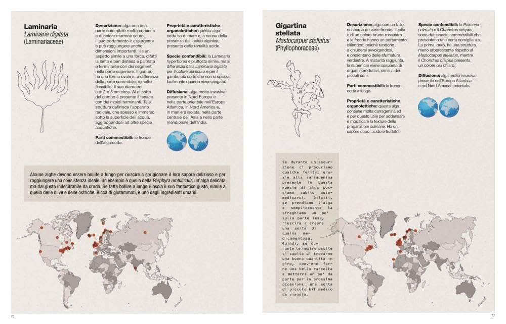 Imparare l'arte del foraging. Conoscere, raccogliere, consumare il cibo selvatico