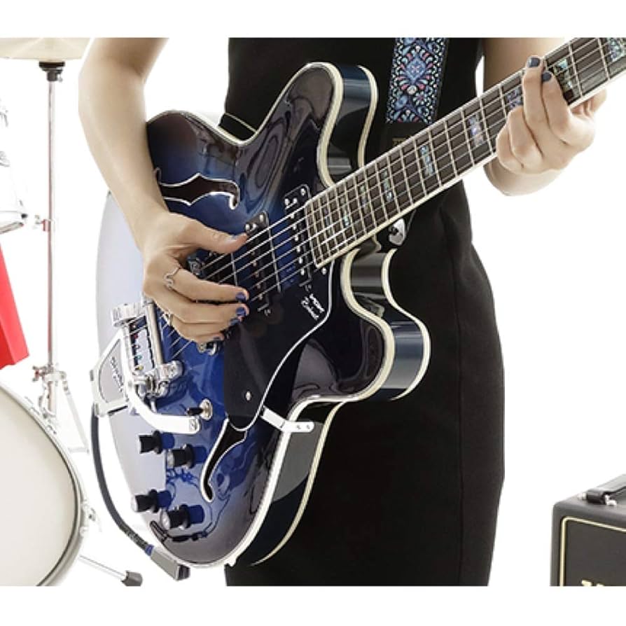 Vox Bob Cat s66 BK 3シングル　セミアコ VOX Bobcat S66 Black