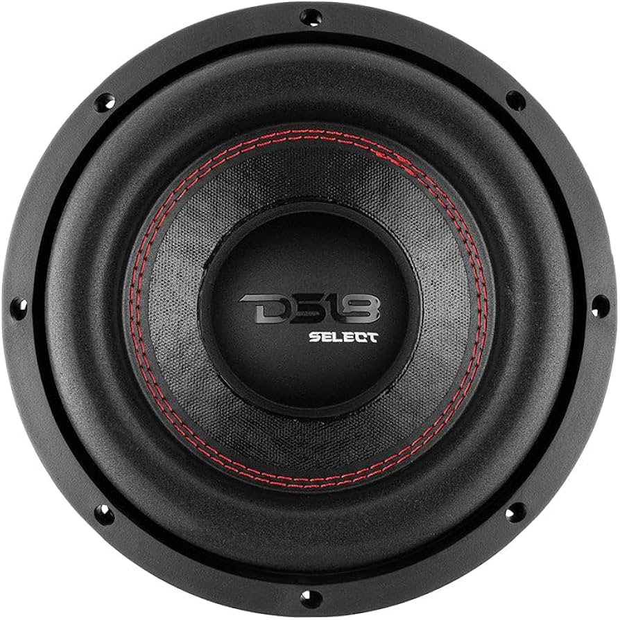 Amazon.com: DS18 SLC8S 8