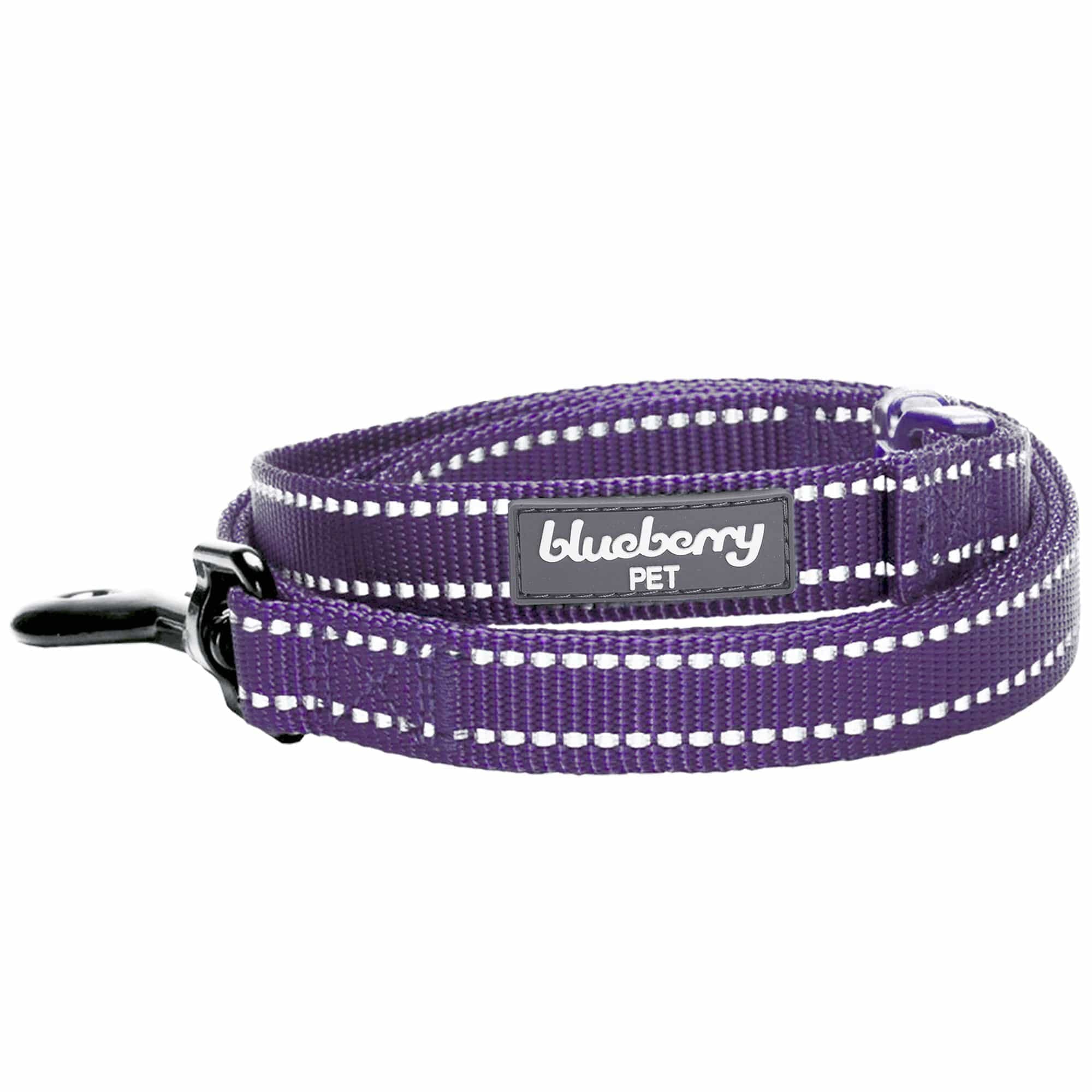 Blueberry Pet Essentials Durable 3M Reflective Classic Dog Leash 4 ft x 1", Violet, Large, Leashes for Dogs