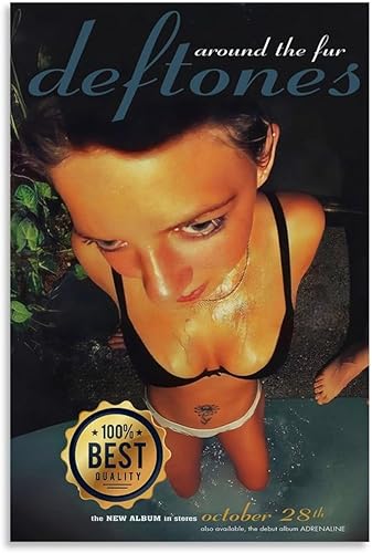 Huici Deftones - Póster de álbum de música alrededor de la piel, póster estético para habitación, pintura decorativa, lienzo, arte de pared, póster