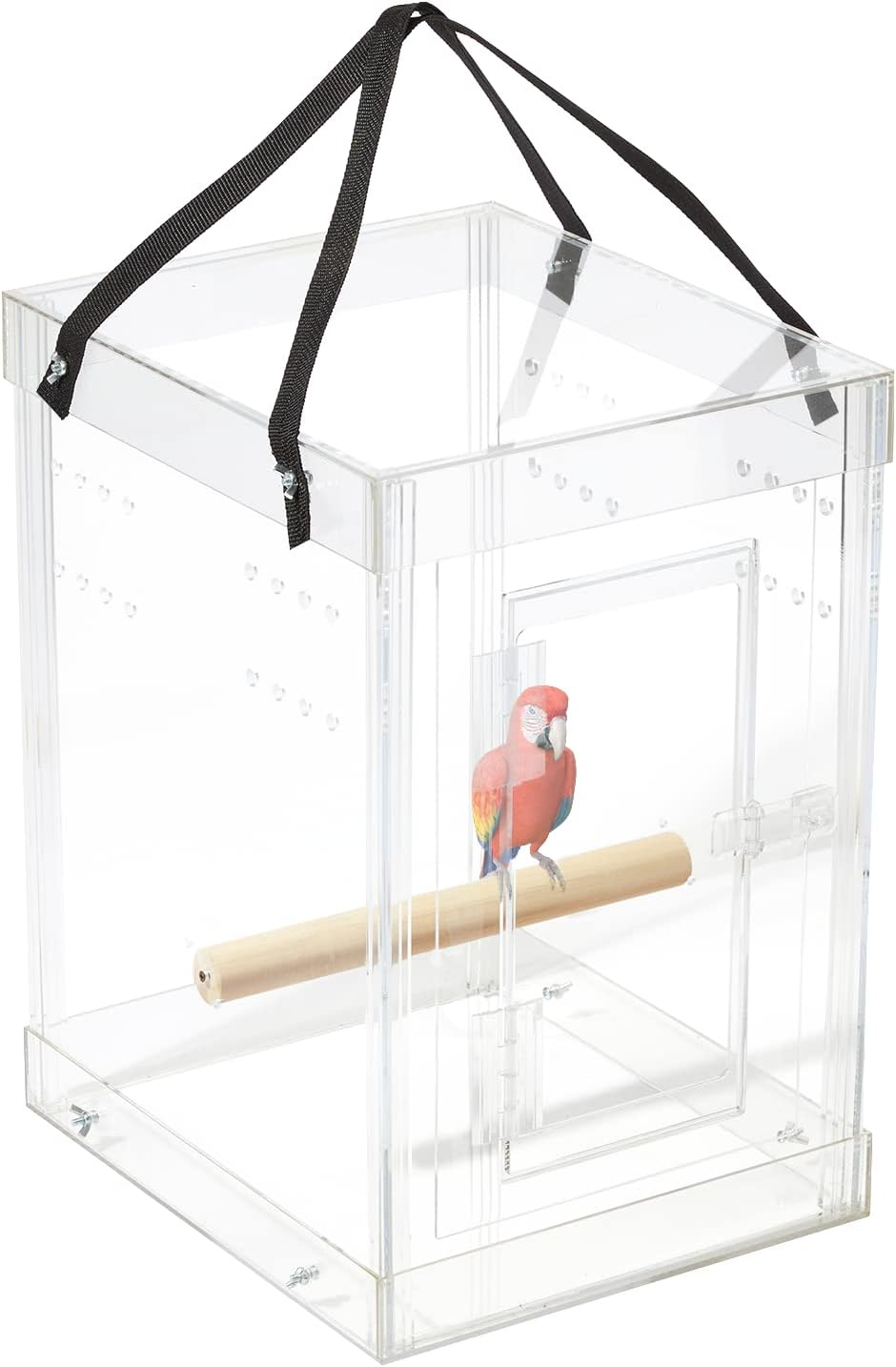 Bird Carriers Amazon Carrier by Pennzoni Display Amazon.co.uk Pet Supplies