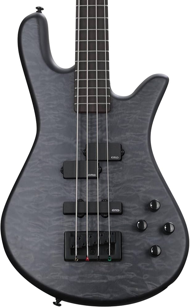 Amazon.com: Spector NS-2JA-R Bass Guitar, Black Gloss : Musical