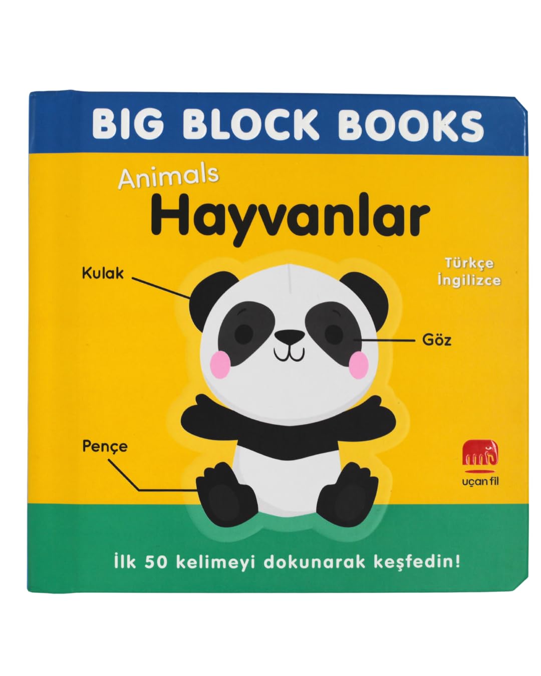 Free! High Speed! Blu-ray キャラクターズブック Big Block Books - Hayvanlar (Türkçe - İngilizce) : Kolektif
