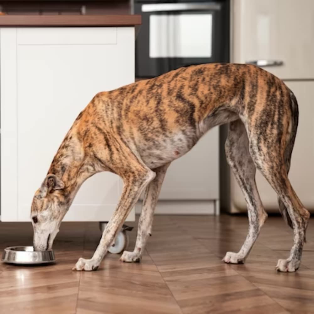 EL HAYEDO Pienso para Perros con Buey, Pollo y Arroz Alta Energía con Vitaminas - 20 Kg