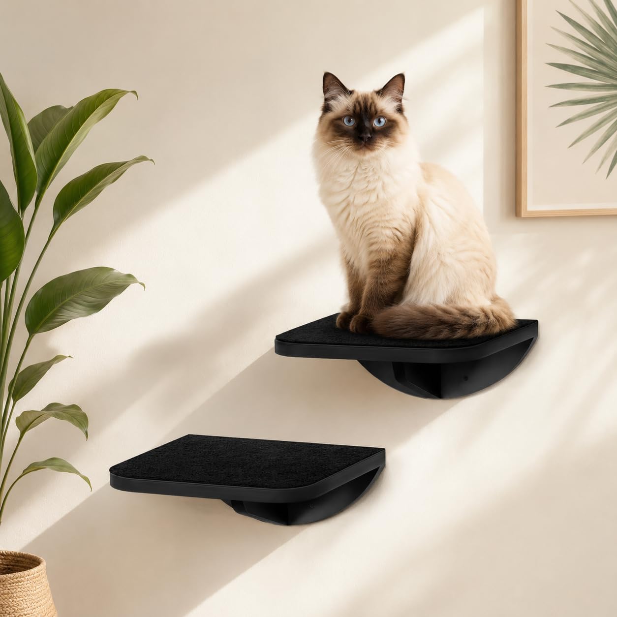 Set di 3 scale per gatti, parete da arrampicata con 2 livelli di arrampicata e piattaforme curve, mobili da parete in legno, per gatti, arrampicata, gioco e sonno
