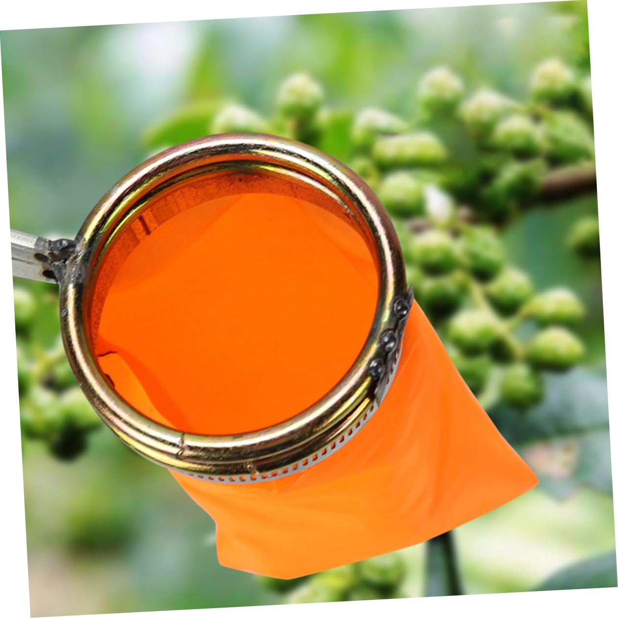 BESPORTBLE 4 Pièces Outils de cueillette Fruit Ciseaux Panier cueilleur de longanes Support de cueilleurs de longanes détachable Haricots Rouges Fraise Goji Litchi et Longane