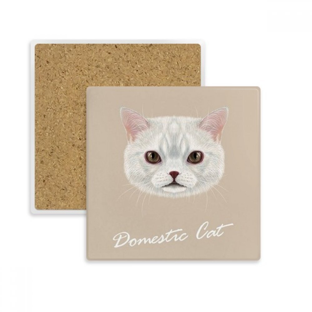 Dessous de verre chat blanc absorbant parfait pour vos pauses café