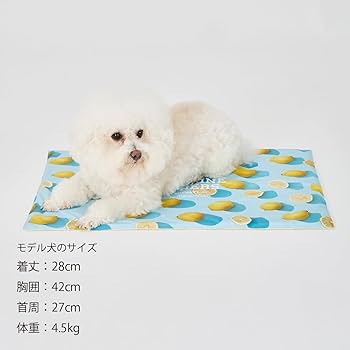 サクちゃん様✨️御専用カフェマット(4枚) 国産い草ラグ せとのと / 凪（なぎ） 約80×160cm 【1畳】 【裏貼り】